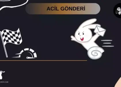 Acil gönderi