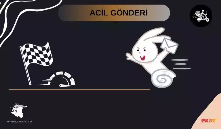 Acil gönderi