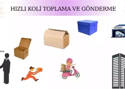 Hızla Koli Toplama ve Gönderme