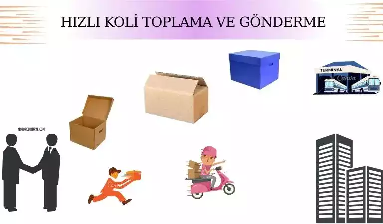 Hızla Koli Toplama ve Gönderme